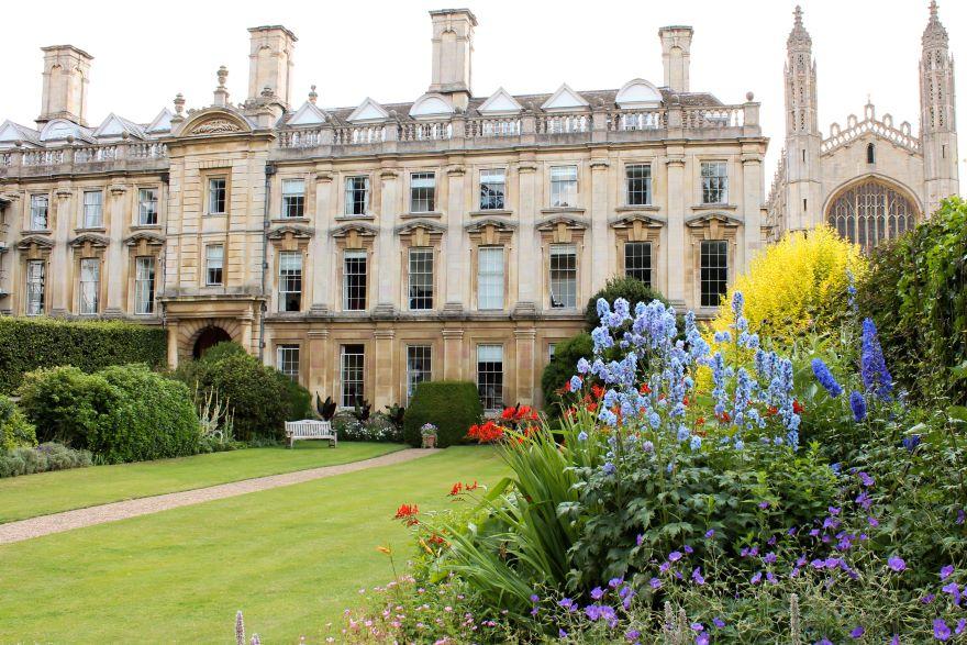 Image of Clare College flowering